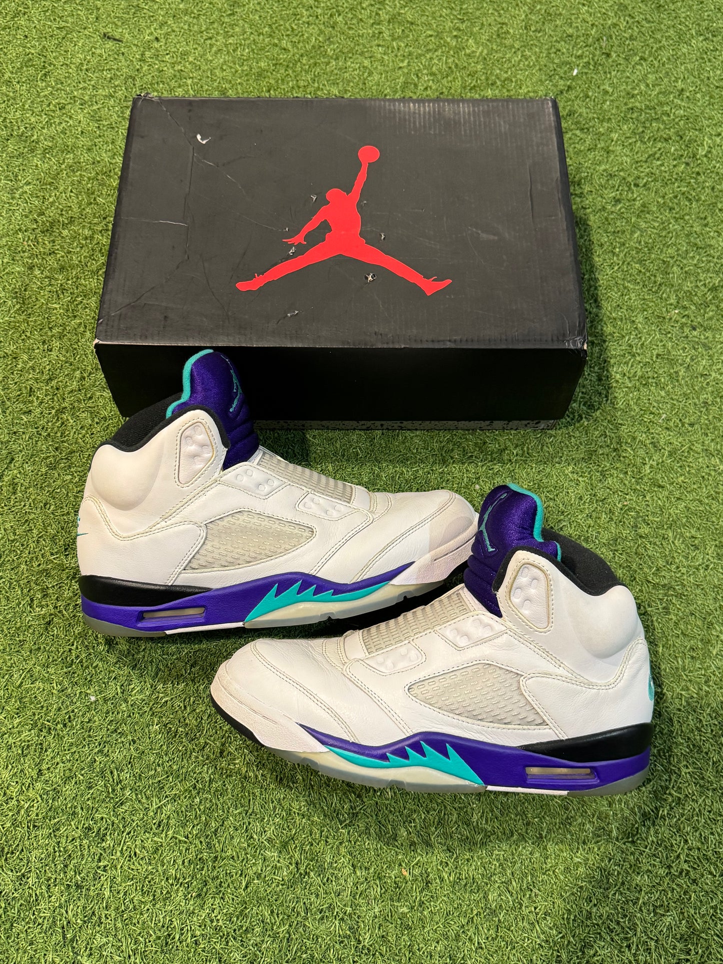 Jordan 5 Grape Fresh Prince (8)
